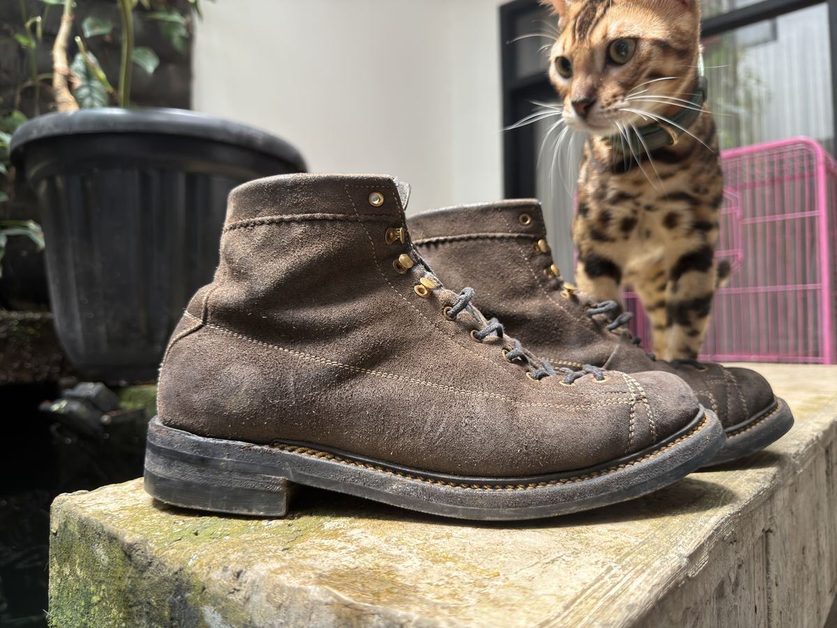 Photo by supergad on April 4, 2026 of the Sagara Cordmaster in Maryam Rovescio Sego Oliva.