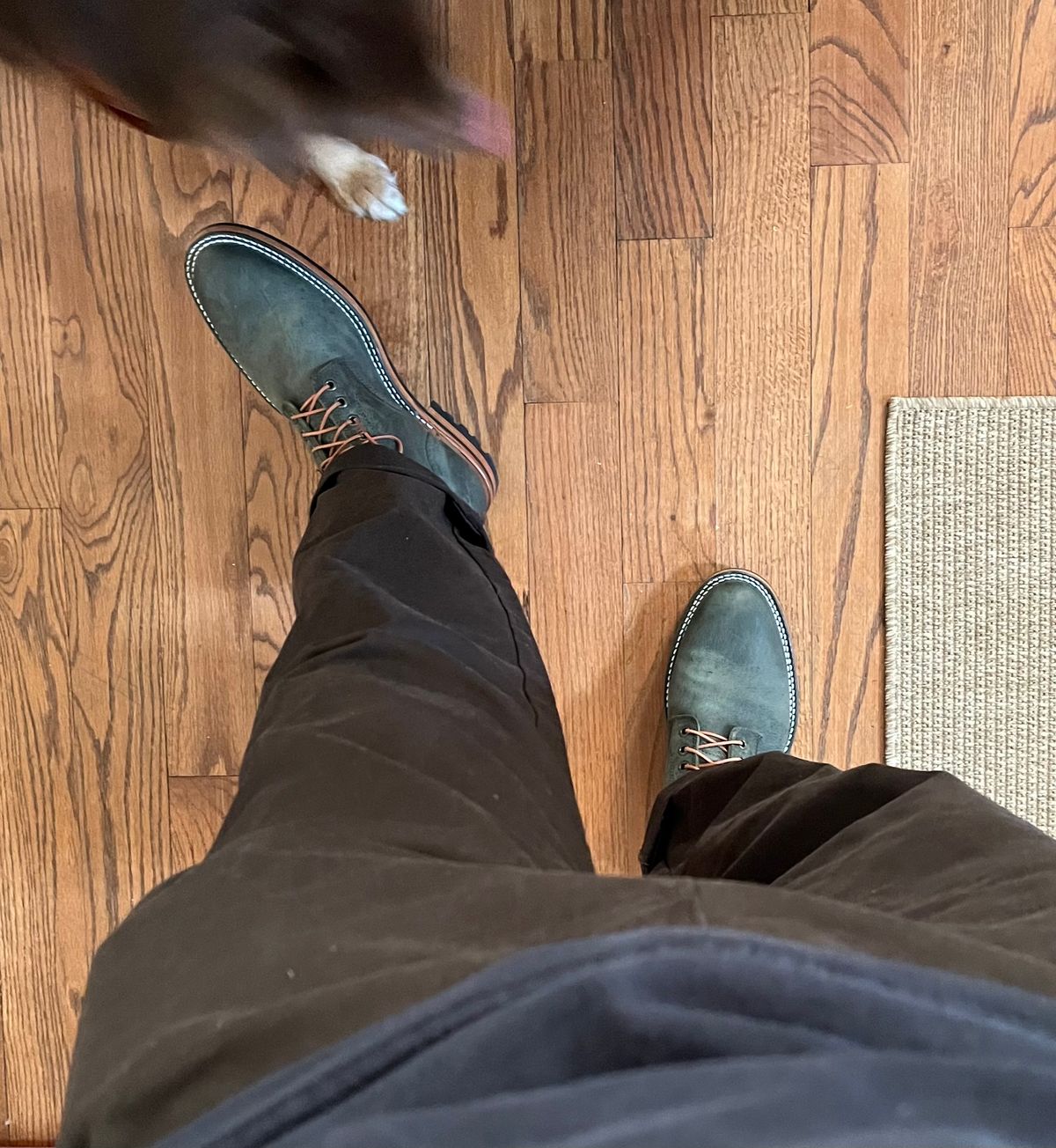 Photo by Arby on December 17, 2025 of the Parkhurst The Allen in C.F. Stead Spruce Kudu.