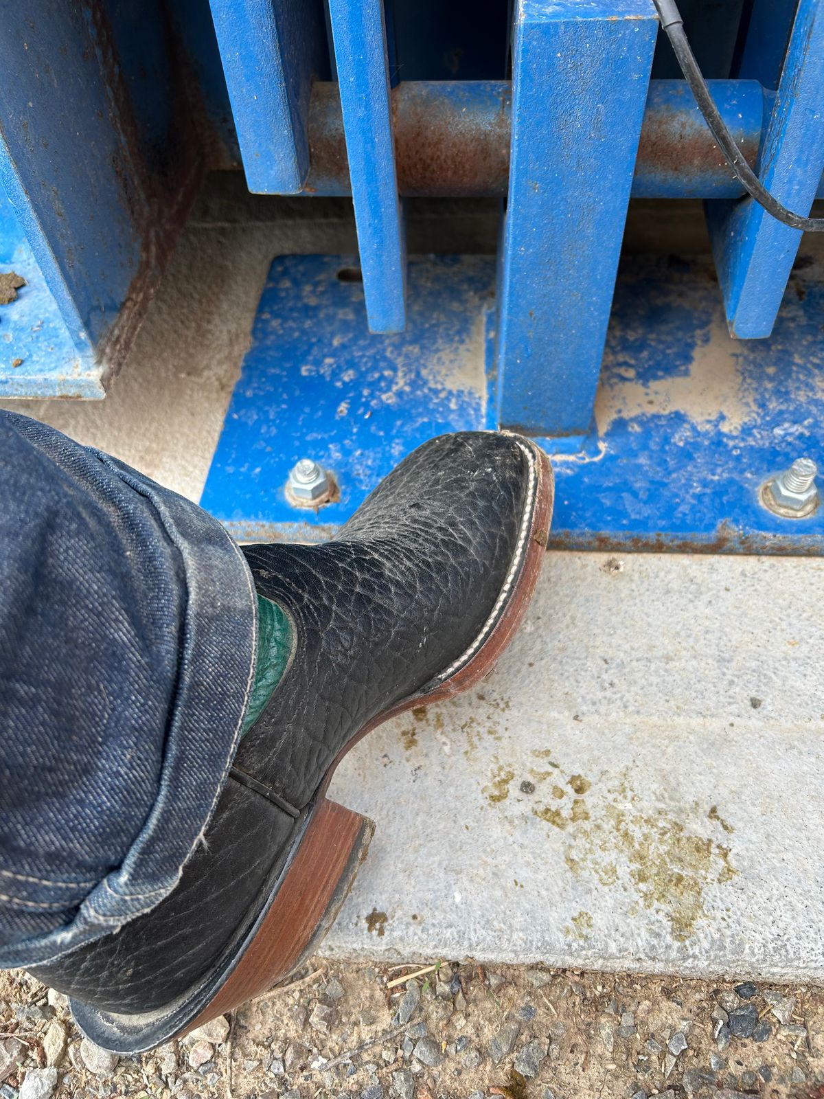 Photo by NevadaBugle on October 15, 2025 of the Hondo 3478 in Black Bullhide.