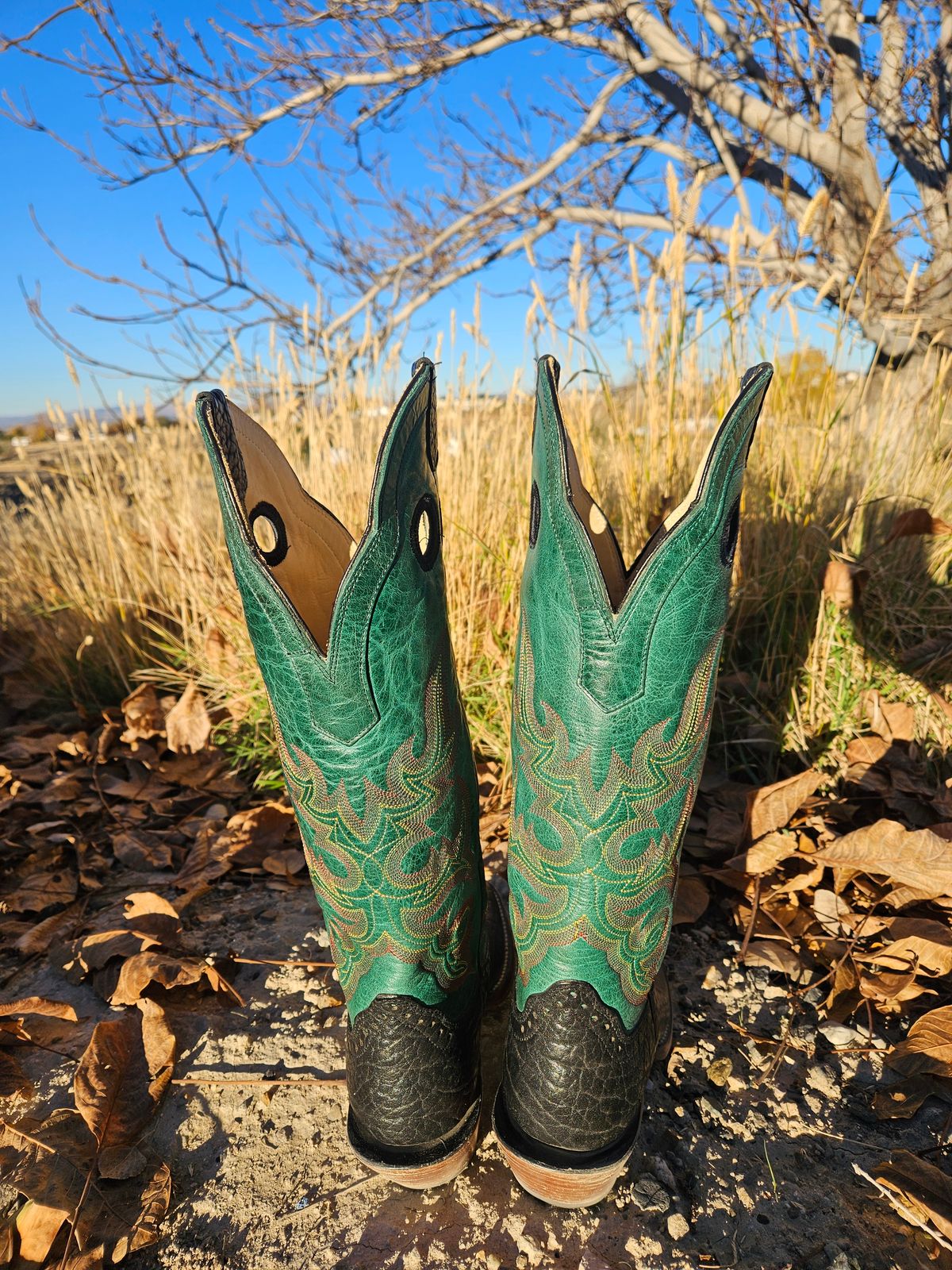 Photo by NevadaBugle on November 2, 2025 of the Hondo 3478 in Black Bullhide.