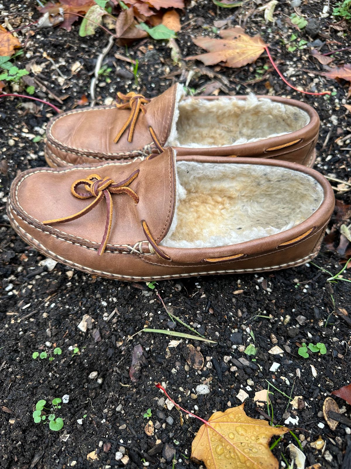 Photo by SCUFFALO.BILL on November 4, 2025 of the Oak Street Bootmakers Shearling Woodland Moc in Horween Natural Chromexcel.