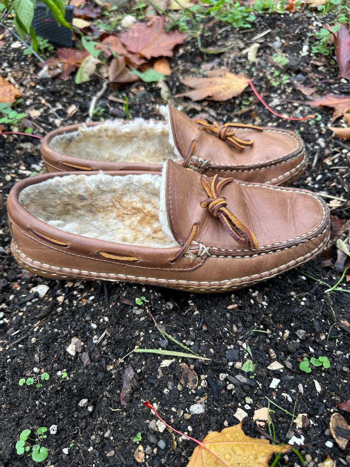 Photo by SCUFFALO.BILL on November 4, 2025 of the Oak Street Bootmakers Shearling Woodland Moc in Horween Natural Chromexcel.
