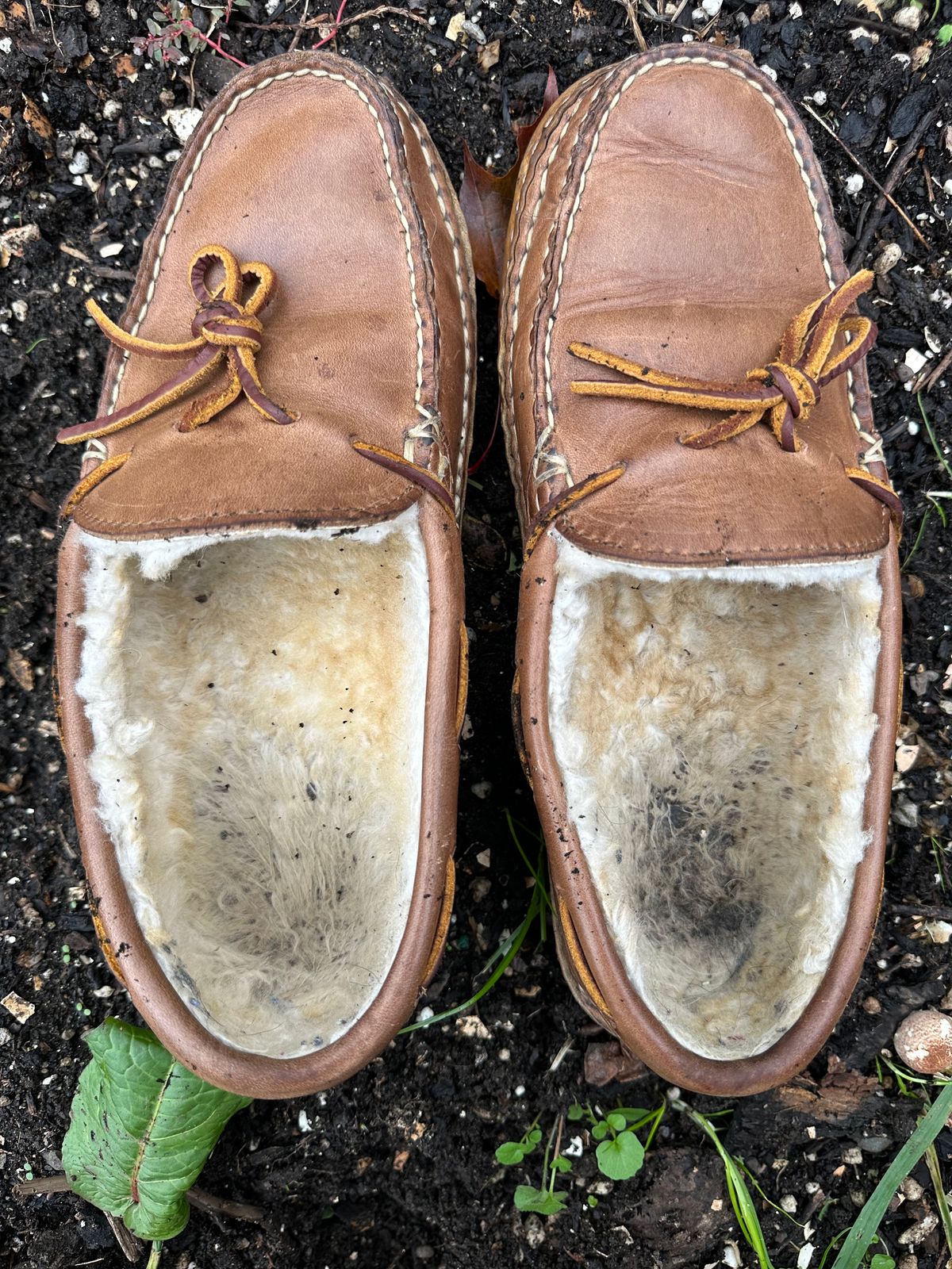Photo by SCUFFALO.BILL on November 4, 2025 of the Oak Street Bootmakers Shearling Woodland Moc in Horween Natural Chromexcel.
