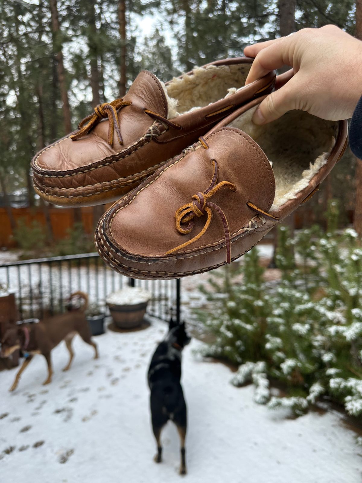 Photo by SCUFFALO.BILL on December 26, 2025 of the Oak Street Bootmakers Shearling Woodland Moc in Horween Natural Chromexcel.