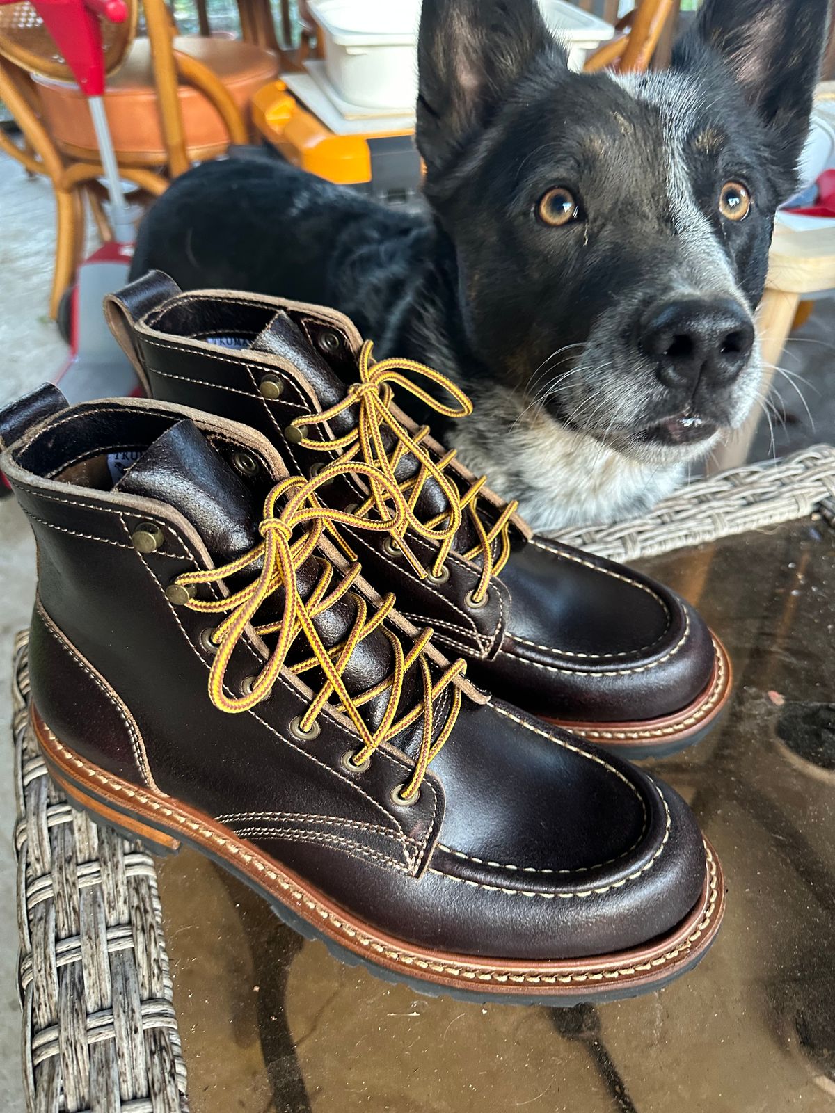 Photo by SCUFFALO.BILL on October 2, 2025 of the Truman Moc Toe in Horween Java Waxed Flesh.