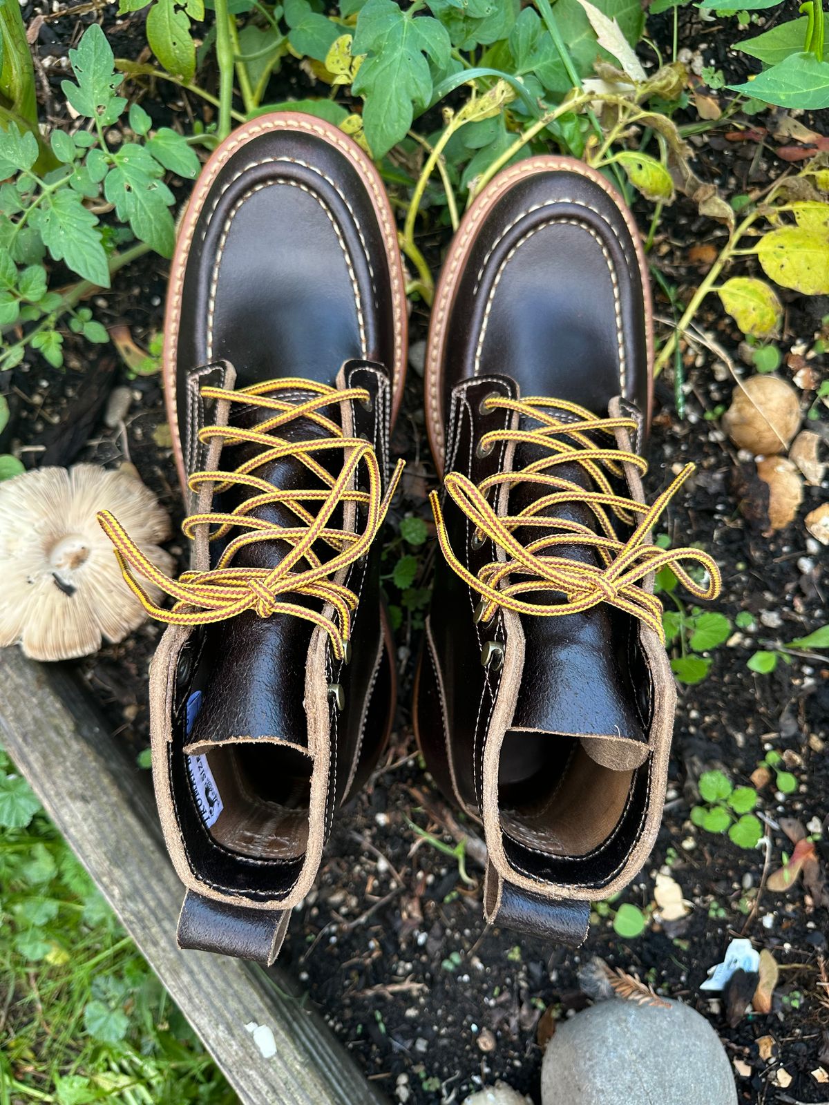 Photo by SCUFFALO.BILL on October 2, 2025 of the Truman Moc Toe in Horween Java Waxed Flesh.