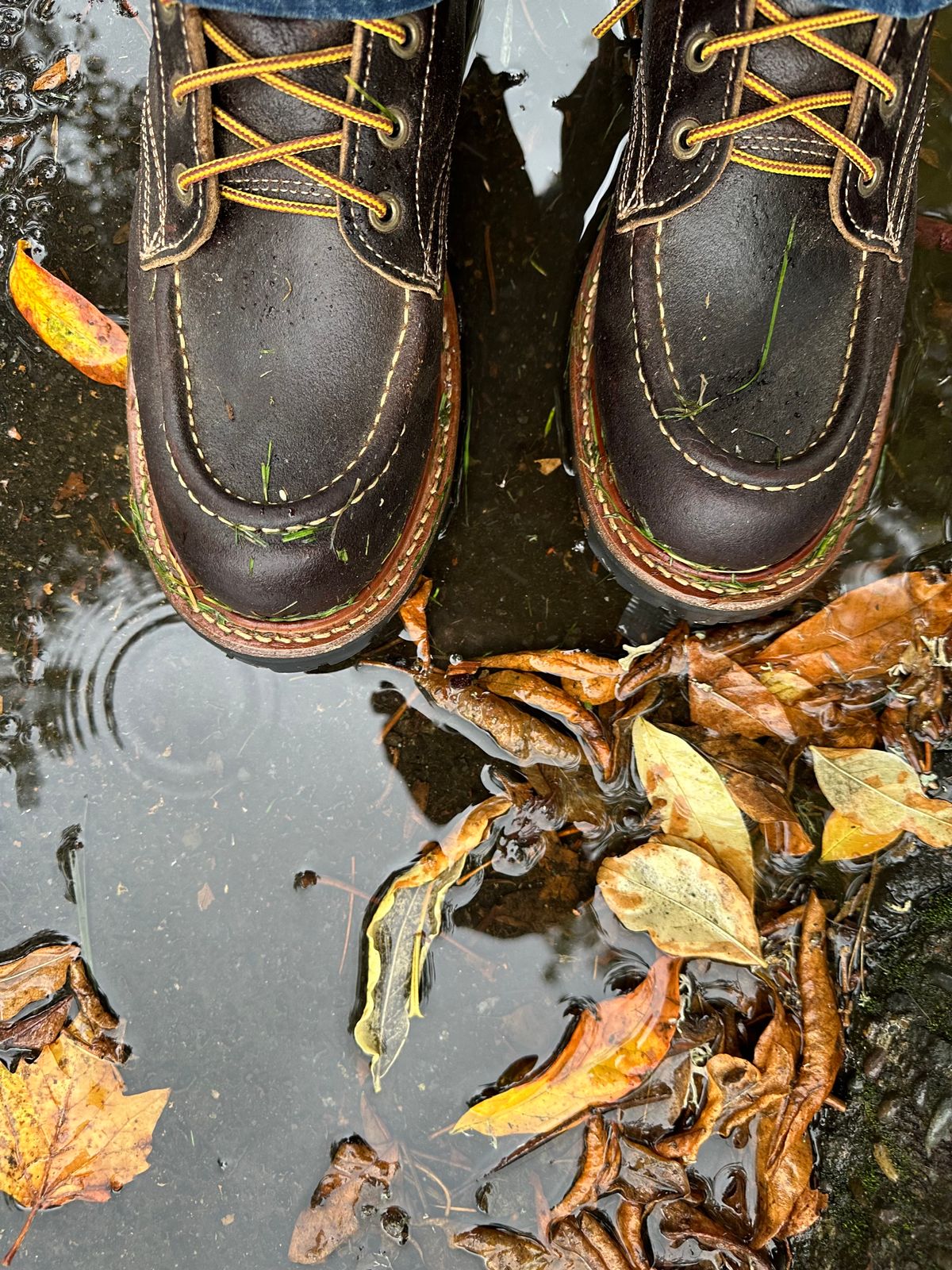 Photo by SCUFFALO.BILL on October 12, 2025 of the Truman Moc Toe in Horween Java Waxed Flesh.