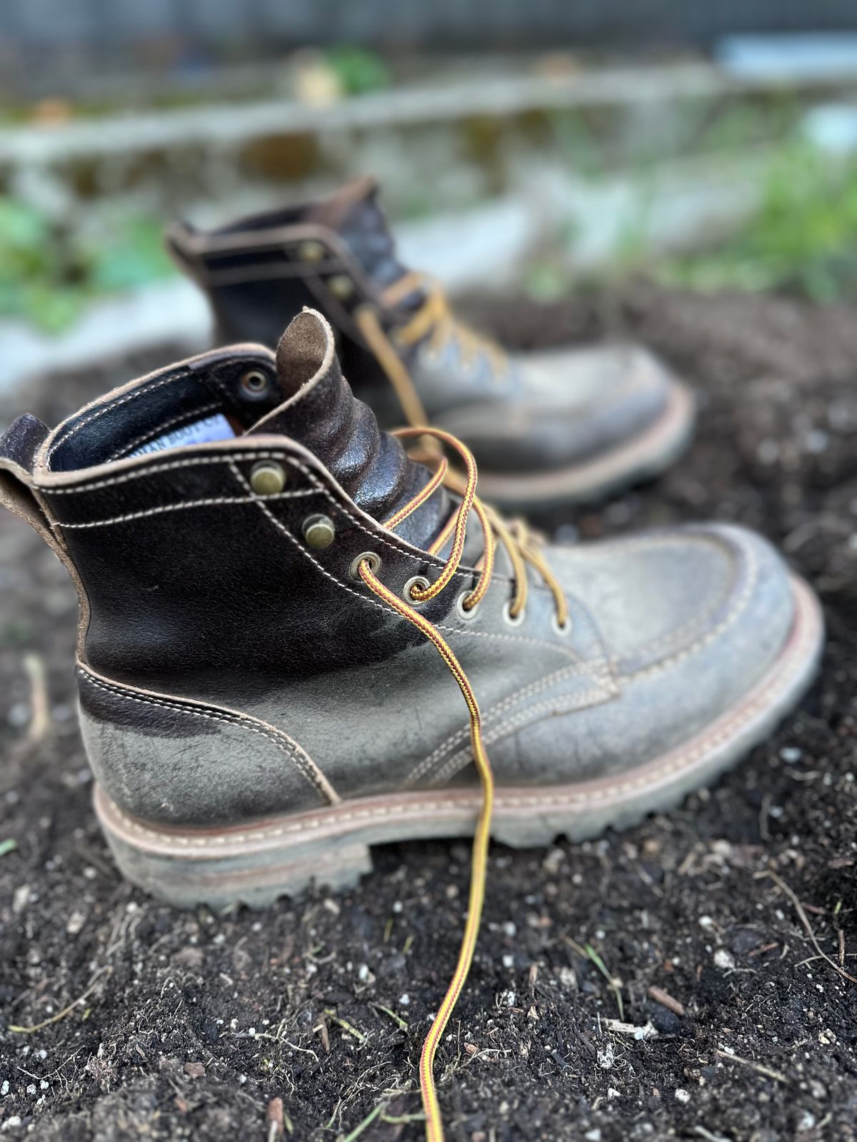 Photo by SCUFFALO.BILL on October 22, 2025 of the Truman Moc Toe in Horween Java Waxed Flesh.