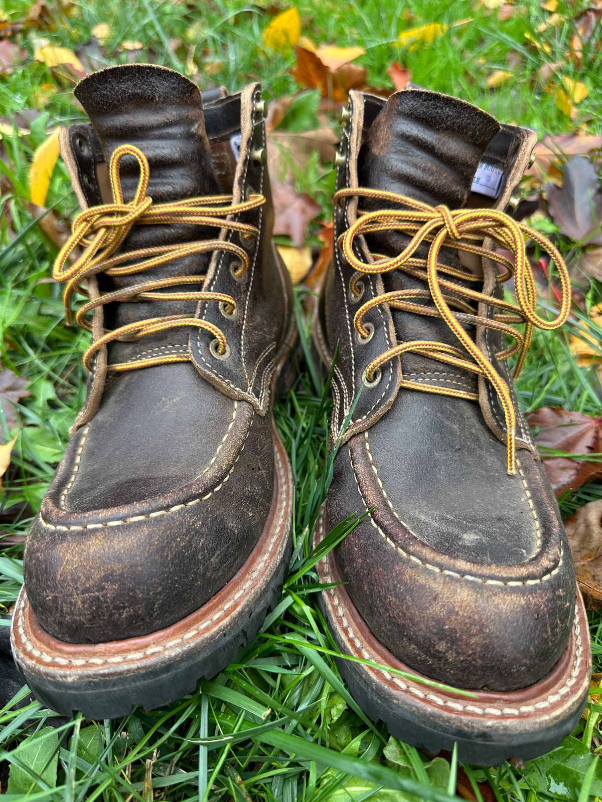 Photo by SCUFFALO.BILL on November 4, 2025 of the Truman Moc Toe in Horween Java Waxed Flesh.