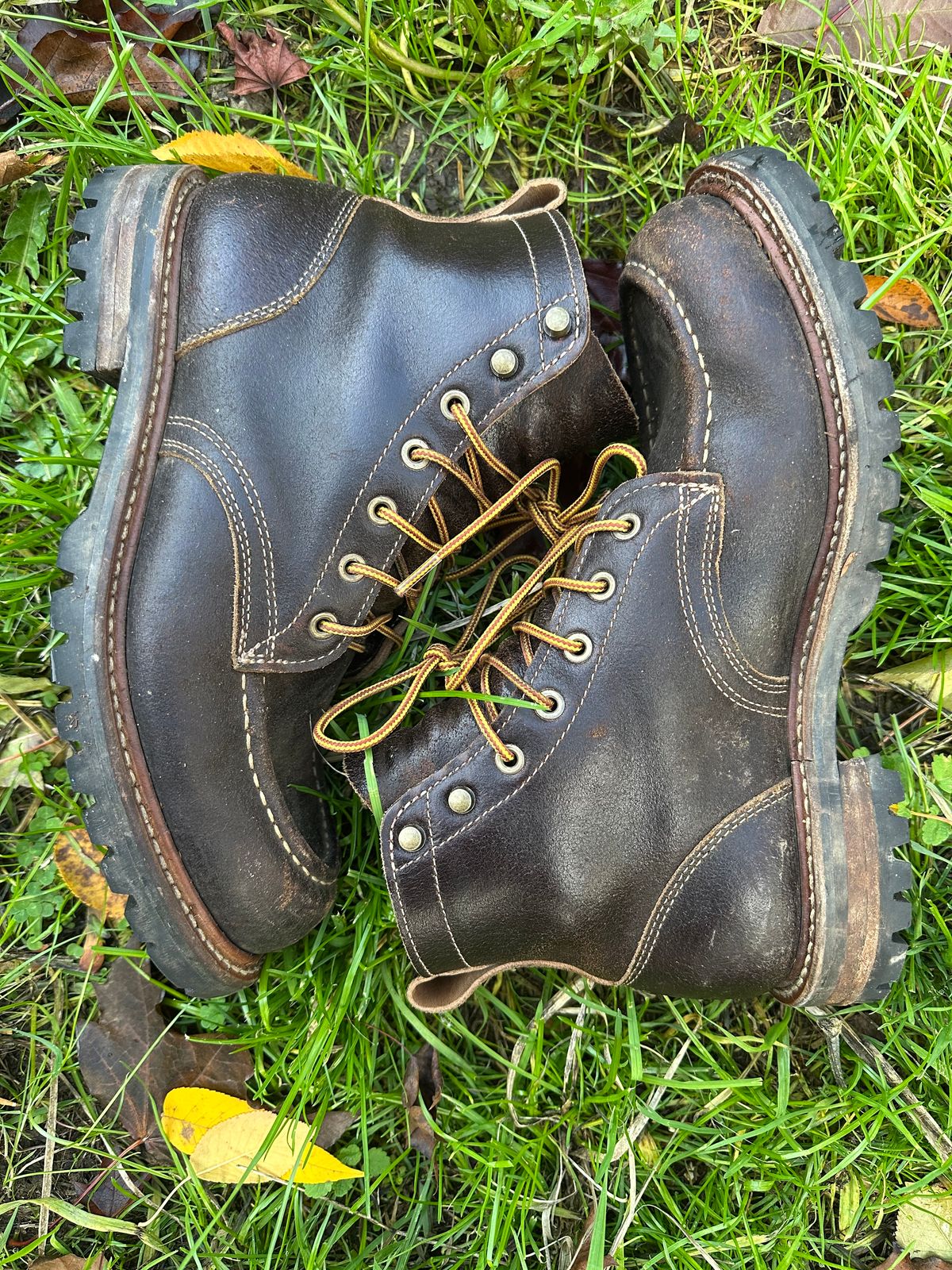 Photo by SCUFFALO.BILL on November 2, 2025 of the Truman Moc Toe in Horween Java Waxed Flesh.