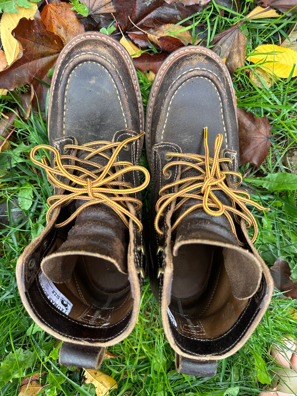 Photo by SCUFFALO.BILL on November 4, 2025 of the Truman Moc Toe in Horween Java Waxed Flesh.