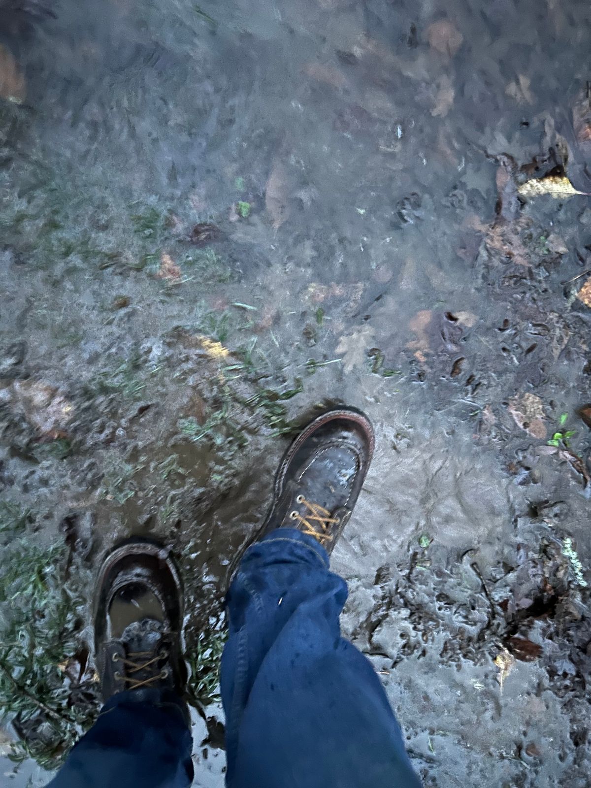 Photo by SCUFFALO.BILL on December 10, 2025 of the Truman Moc Toe in Horween Java Waxed Flesh.