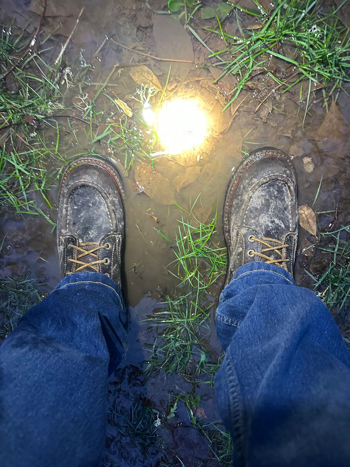 Photo by SCUFFALO.BILL on December 10, 2025 of the Truman Moc Toe in Horween Java Waxed Flesh.