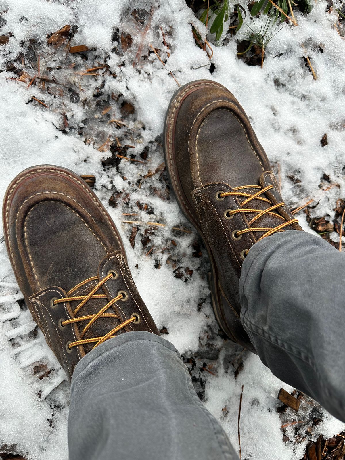 Photo by SCUFFALO.BILL on December 26, 2025 of the Truman Moc Toe in Horween Java Waxed Flesh.
