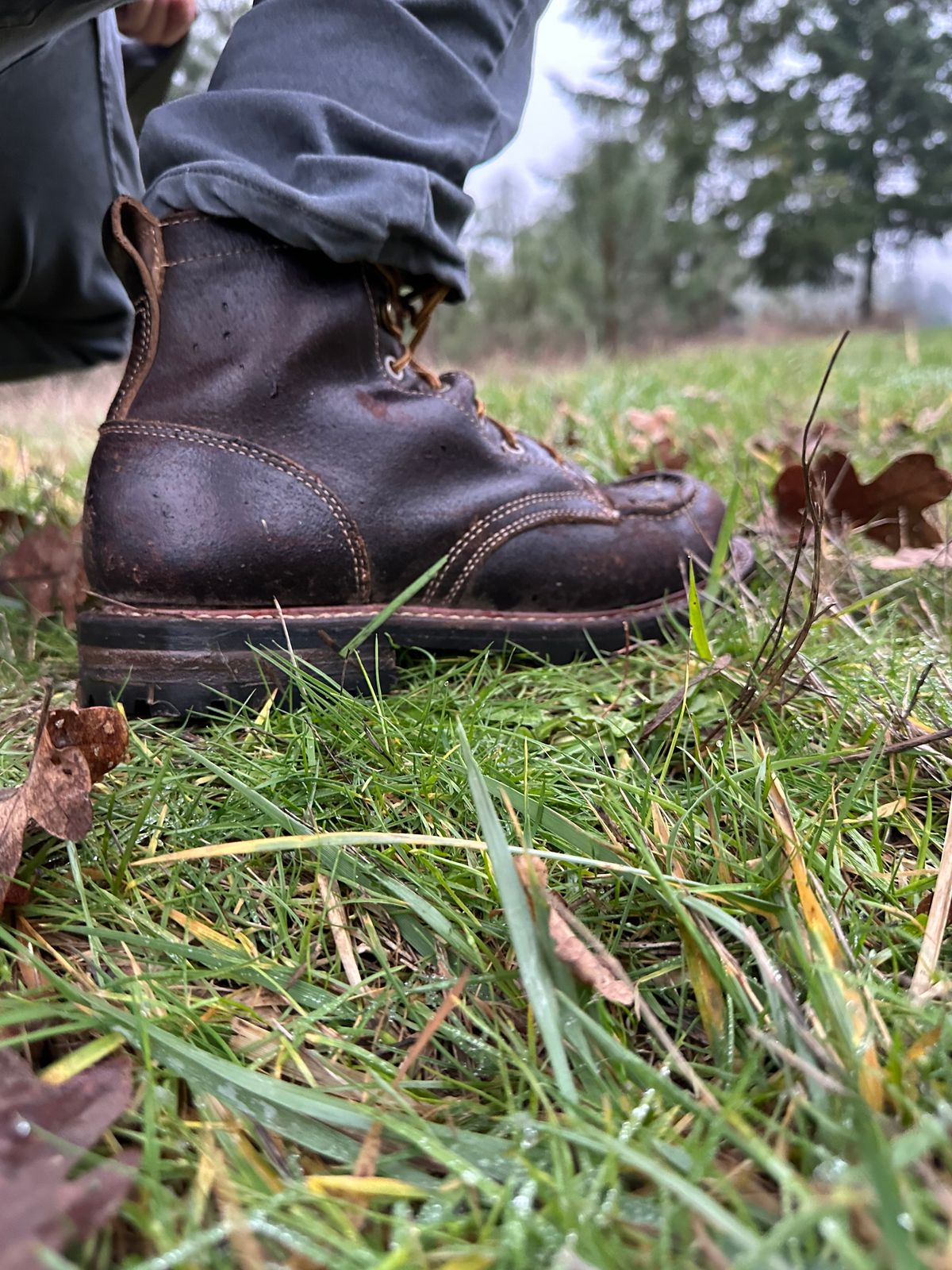 Photo by SCUFFALO.BILL on January 15, 2026 of the Truman Moc Toe in Horween Java Waxed Flesh.
