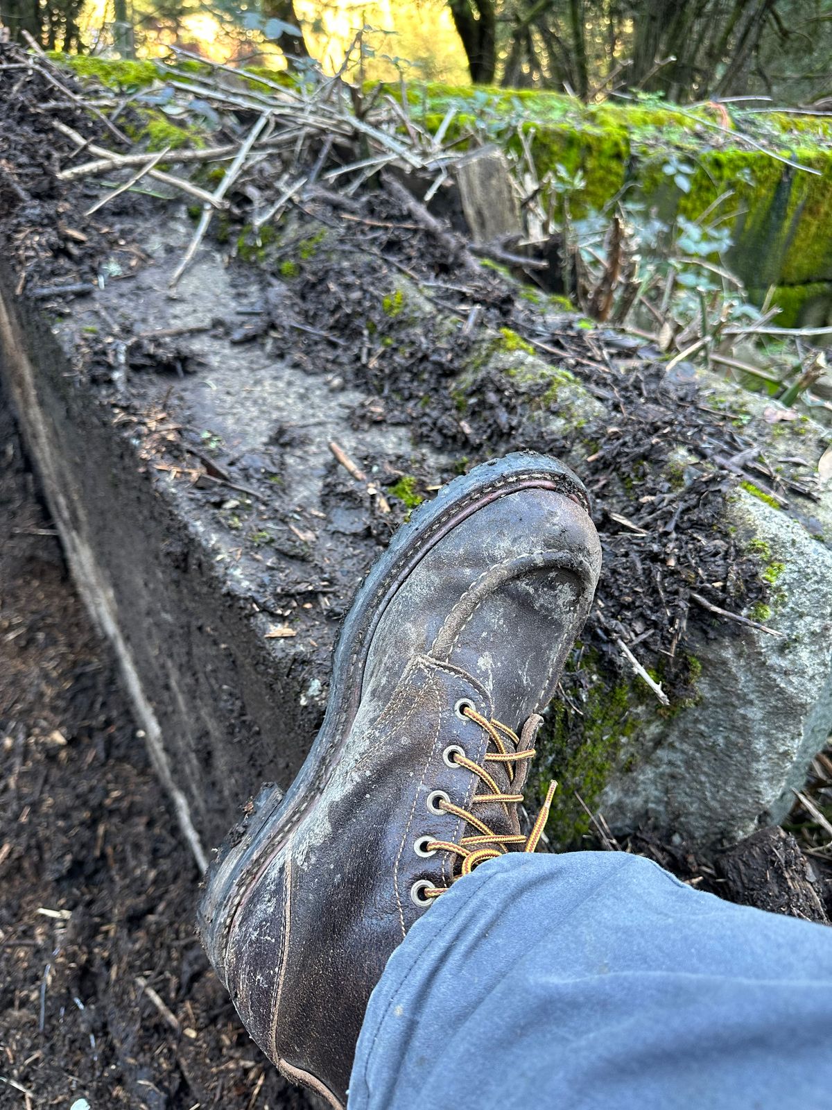 Photo by SCUFFALO.BILL on January 16, 2026 of the Truman Moc Toe in Horween Java Waxed Flesh.