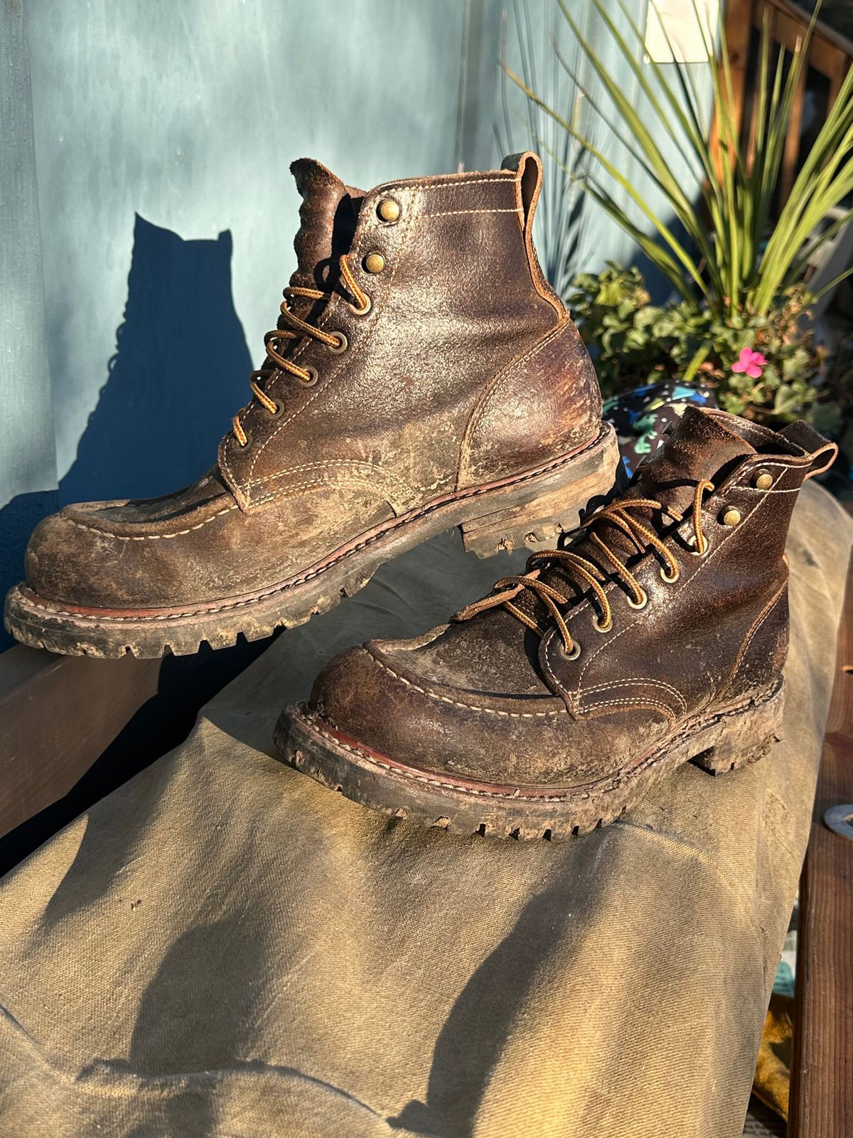 Photo by SCUFFALO.BILL on January 18, 2026 of the Truman Moc Toe in Horween Java Waxed Flesh.