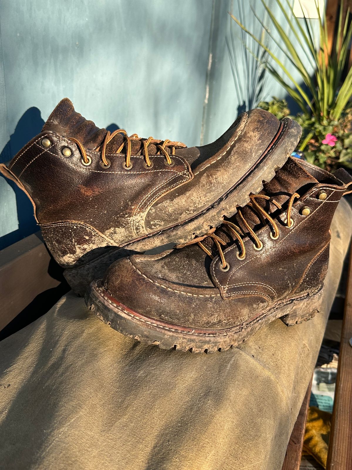 Photo by SCUFFALO.BILL on January 18, 2026 of the Truman Moc Toe in Horween Java Waxed Flesh.