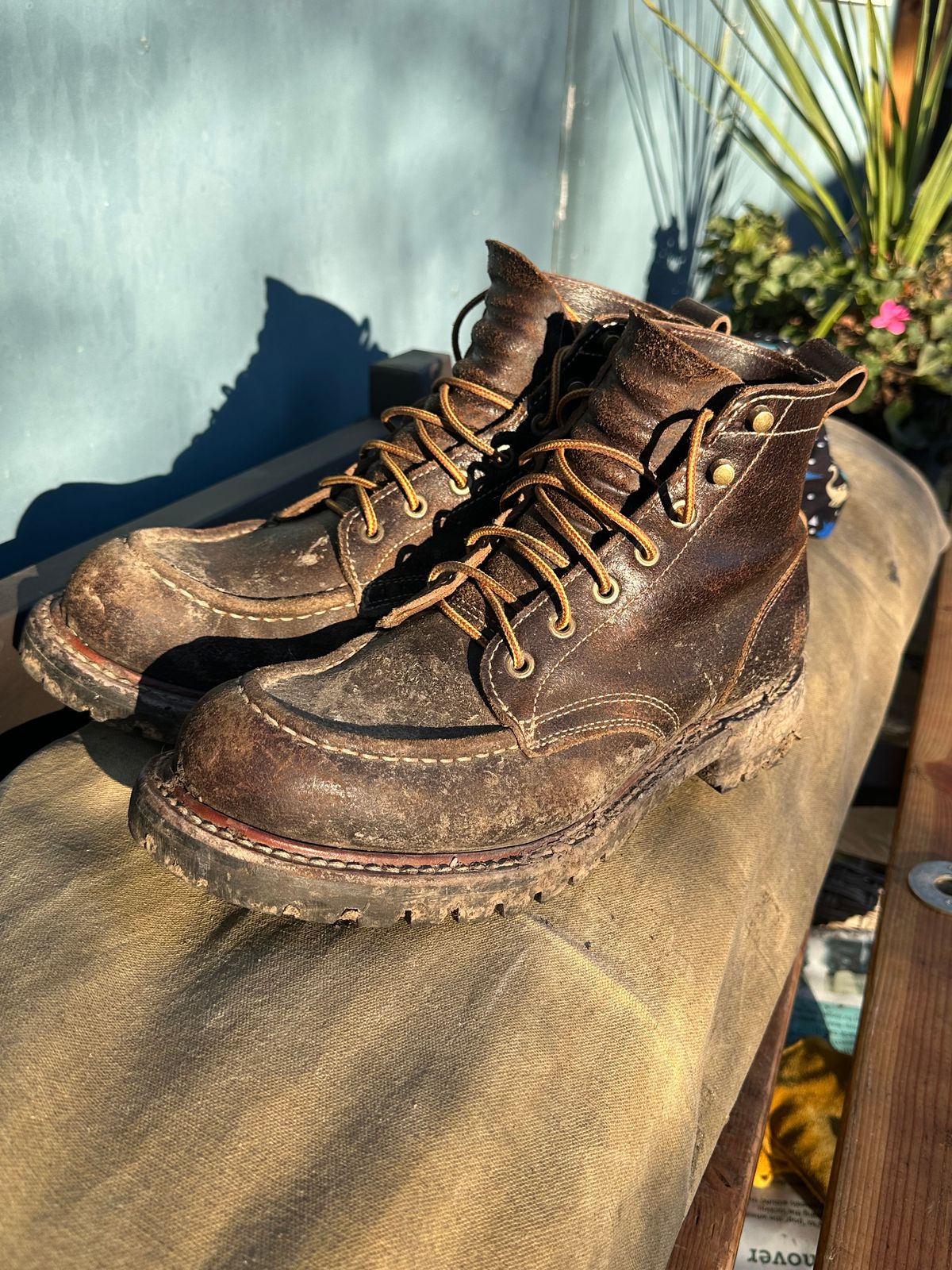 Photo by SCUFFALO.BILL on January 18, 2026 of the Truman Moc Toe in Horween Java Waxed Flesh.