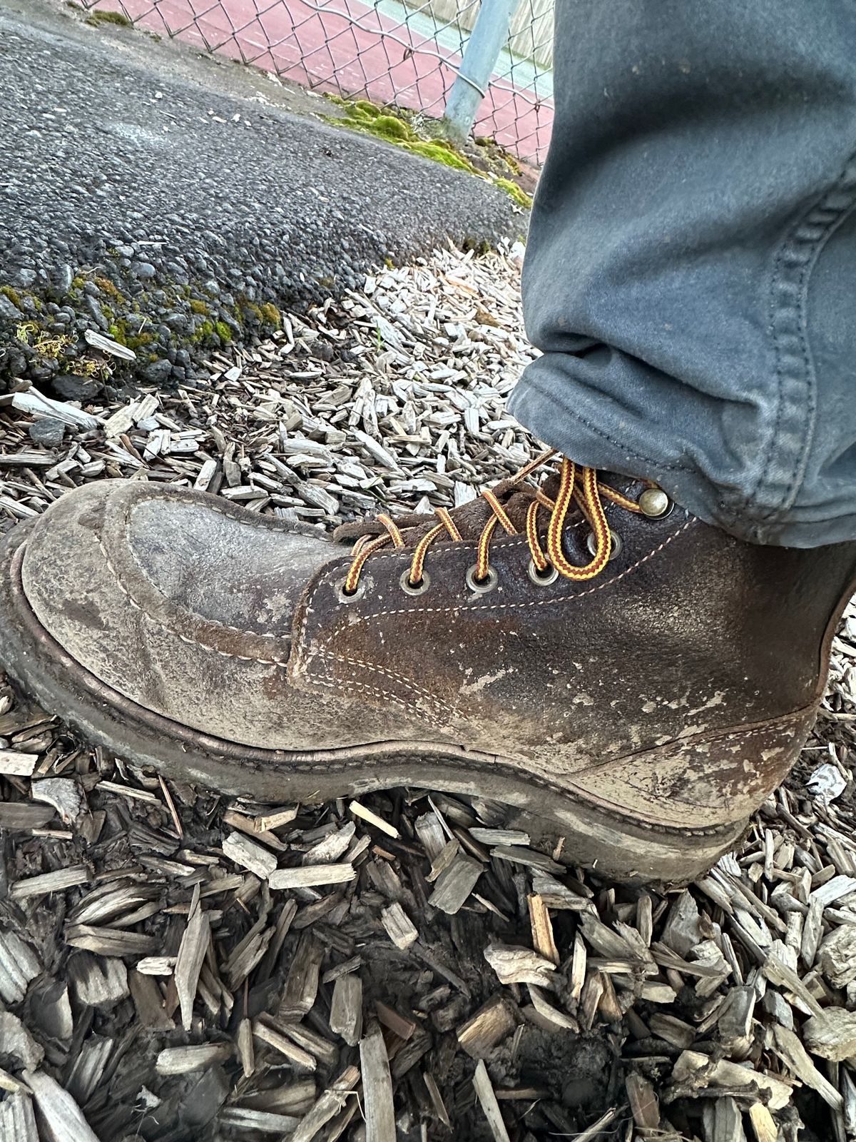 Photo by SCUFFALO.BILL on February 28, 2026 of the Truman Moc Toe in Horween Java Waxed Flesh.