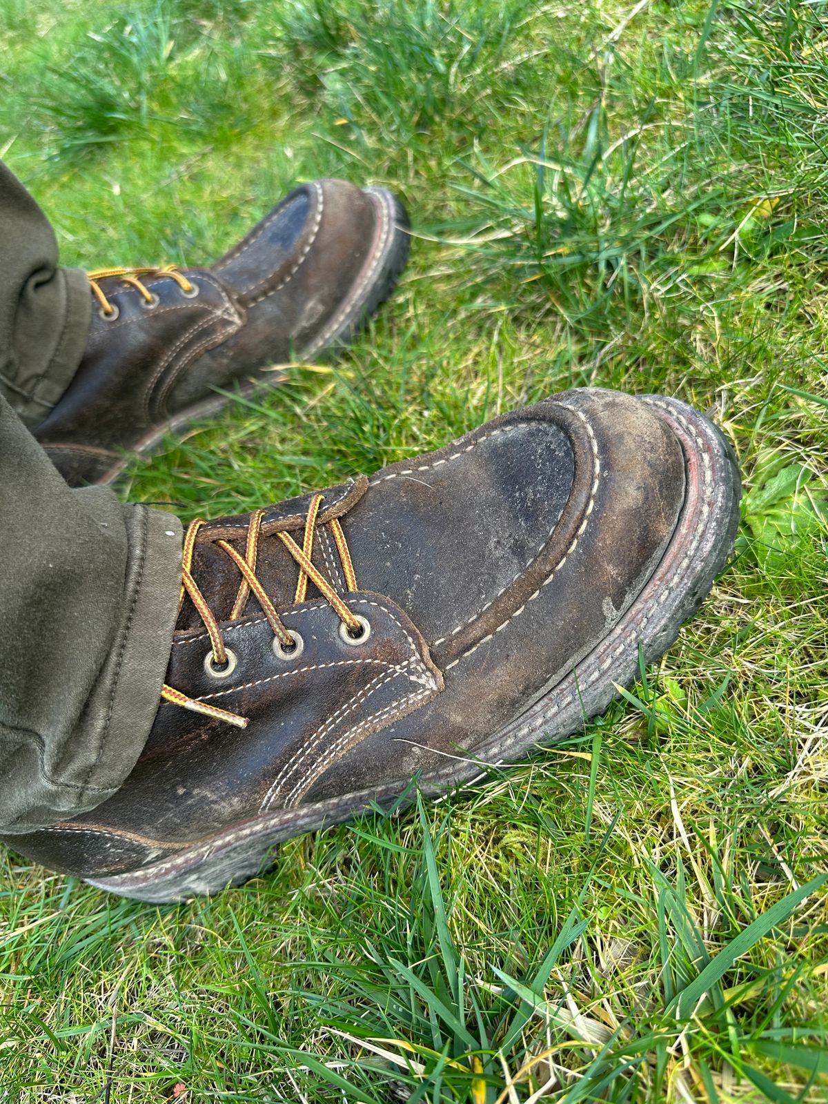 Photo by SCUFFALO.BILL on March 8, 2026 of the Truman Moc Toe in Horween Java Waxed Flesh.