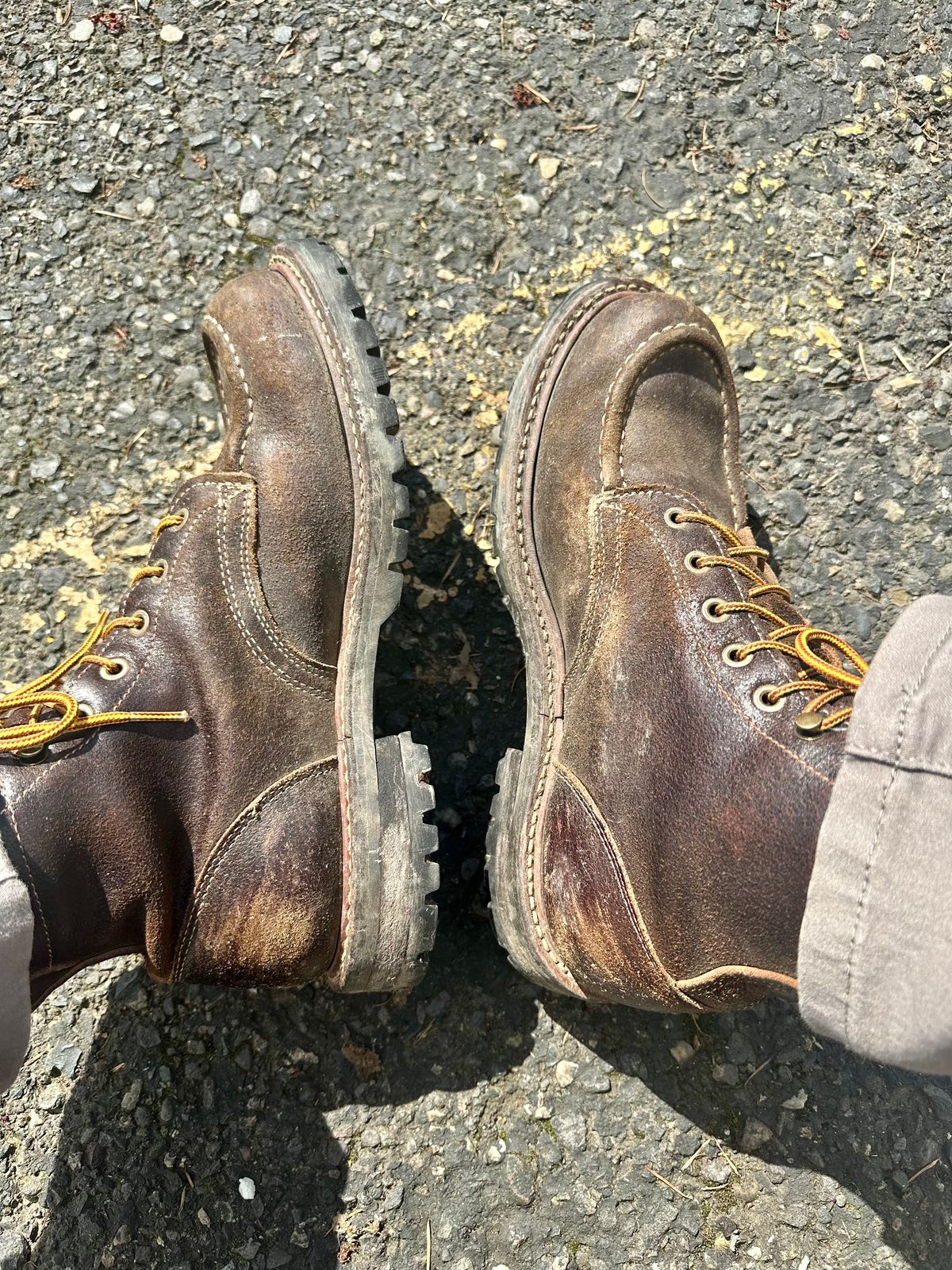 Photo by SCUFFALO.BILL on March 26, 2026 of the Truman Moc Toe in Horween Java Waxed Flesh.