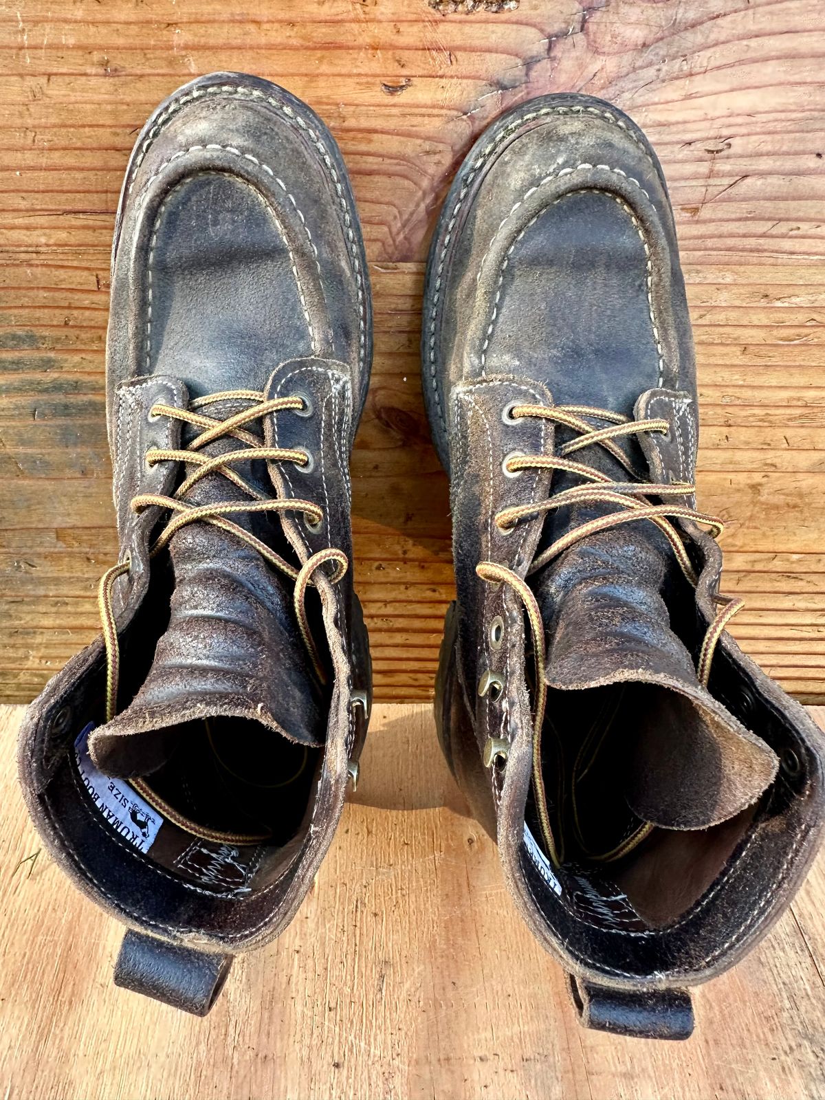 Photo by SCUFFALO.BILL on March 31, 2026 of the Truman Moc Toe in Horween Java Waxed Flesh.