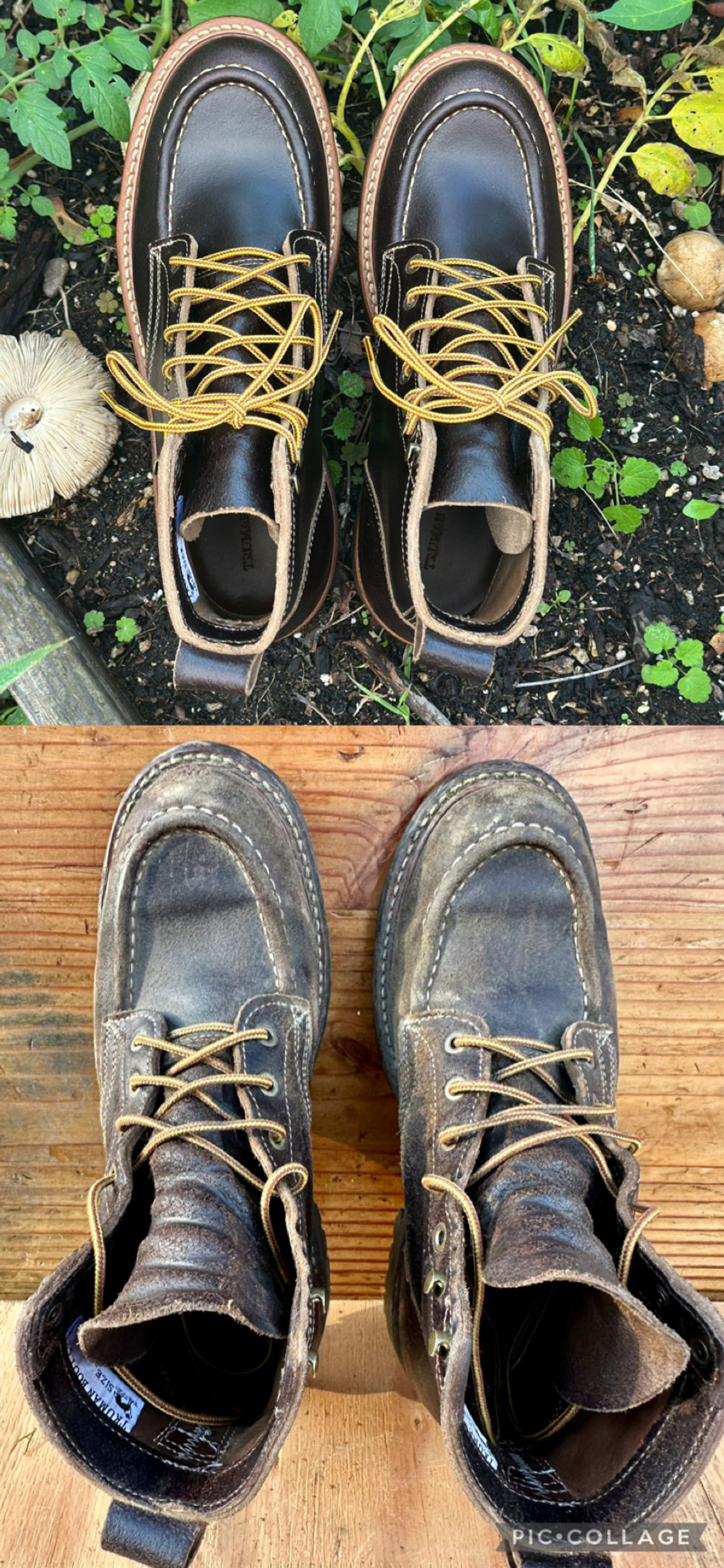 Photo by SCUFFALO.BILL on April 2, 2026 of the Truman Moc Toe in Horween Java Waxed Flesh.