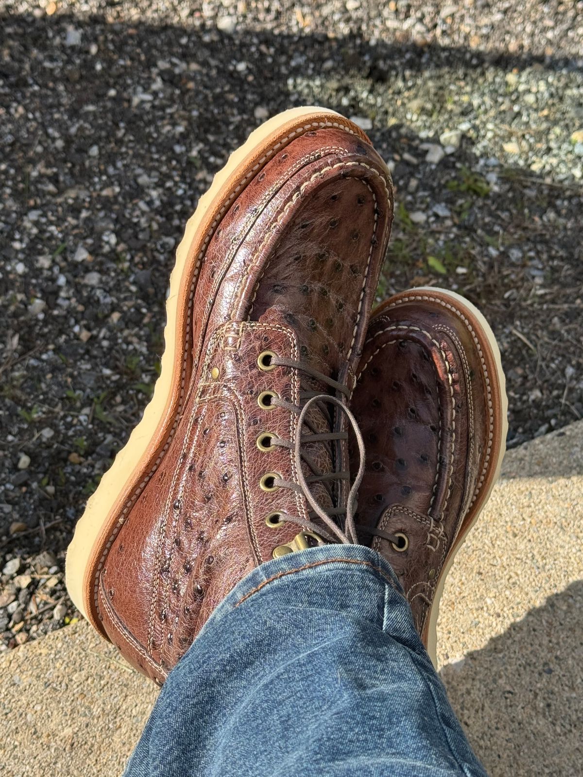 Photo by lemoncurry on June 2, 2026 of the Grant Stone Field Boot in Kango Tobacco Ostrich.
