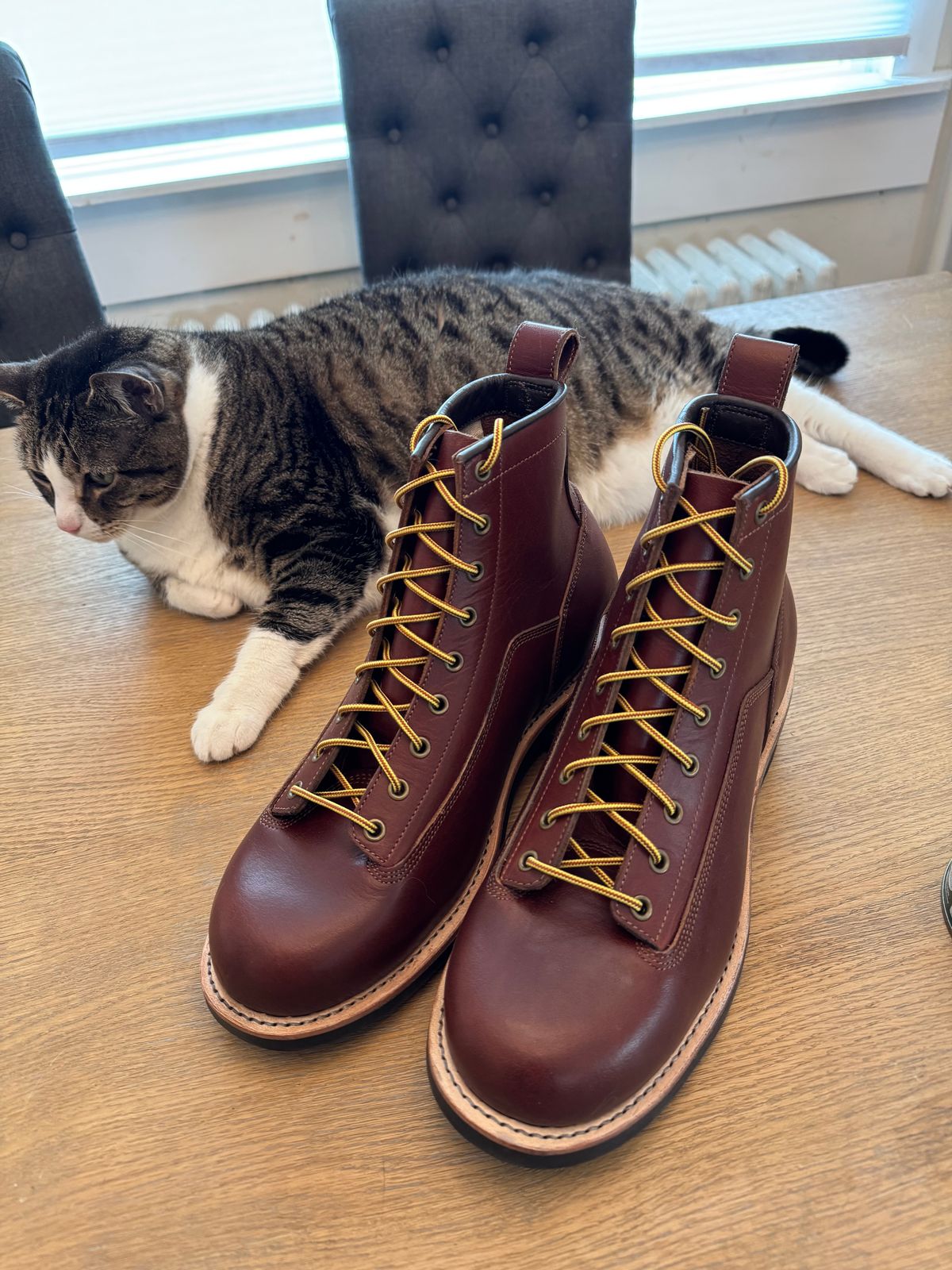 Photo by lemoncurry on May 11, 2026 of the Craft & Glory Outlander in Saddle Tan Full Grain Buffalo.