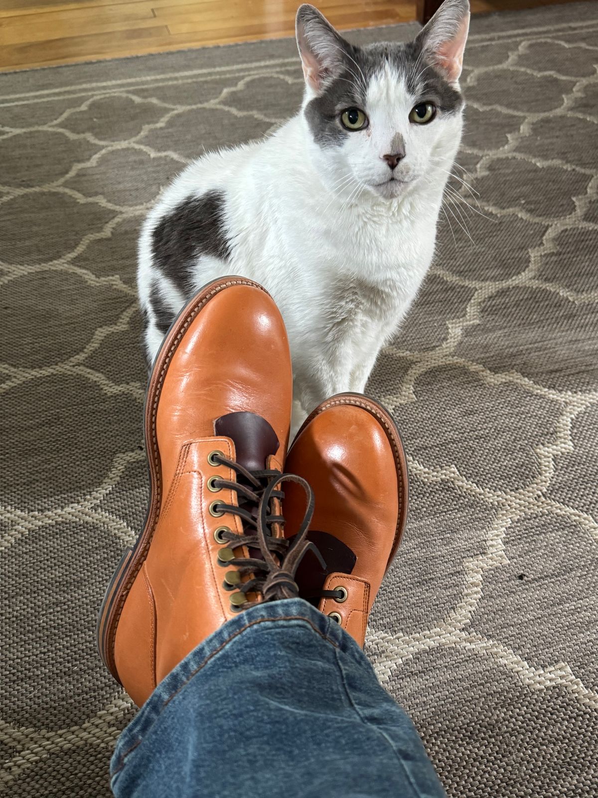 Photo by lemoncurry on April 6, 2026 of the Grant Stone Diesel Boot in Horween Tan Essex.