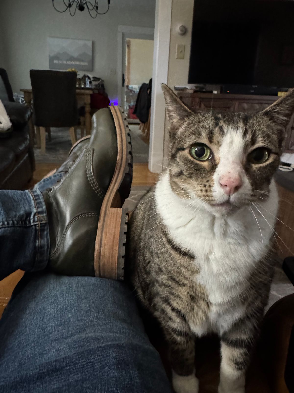 Photo by lemoncurry on March 17, 2026 of the Goral Buxton Brass Wire Construction Boot in Horween Chromexcel Forest Green.