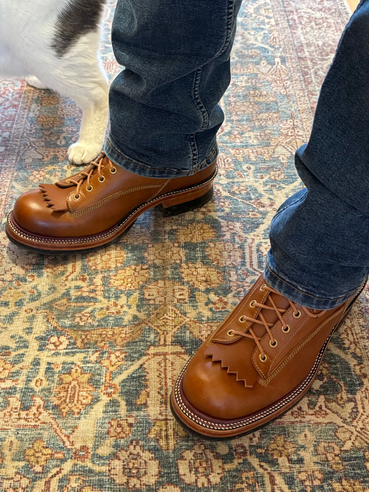 Photo by lemoncurry on April 2, 2026 of the Fortis Boots Goldrush in Badalassi Carlo Cognac Minerva.