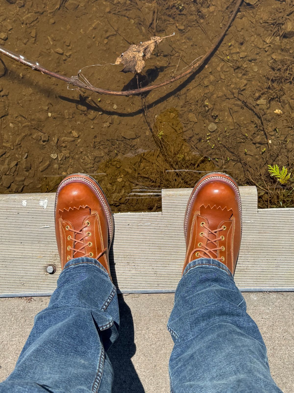 Photo by lemoncurry on April 26, 2026 of the Fortis Boots Goldrush in Badalassi Carlo Cognac Minerva.