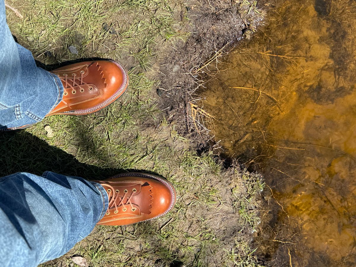 Photo by lemoncurry on April 26, 2026 of the Fortis Boots Goldrush in Badalassi Carlo Cognac Minerva.