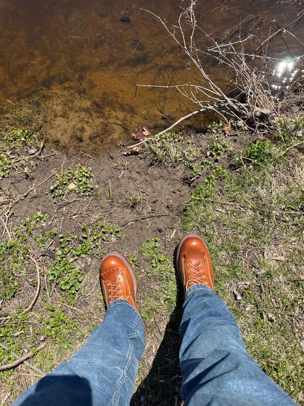 Photo by lemoncurry on April 26, 2026 of the Fortis Boots Goldrush in Badalassi Carlo Cognac Minerva.