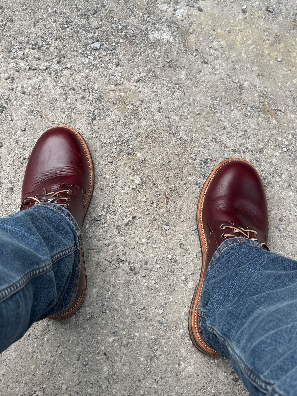 Photo by lemoncurry on June 10, 2026 of the Oak Street Bootmakers Trench Boot in Horween Color 8 Chromexcel.