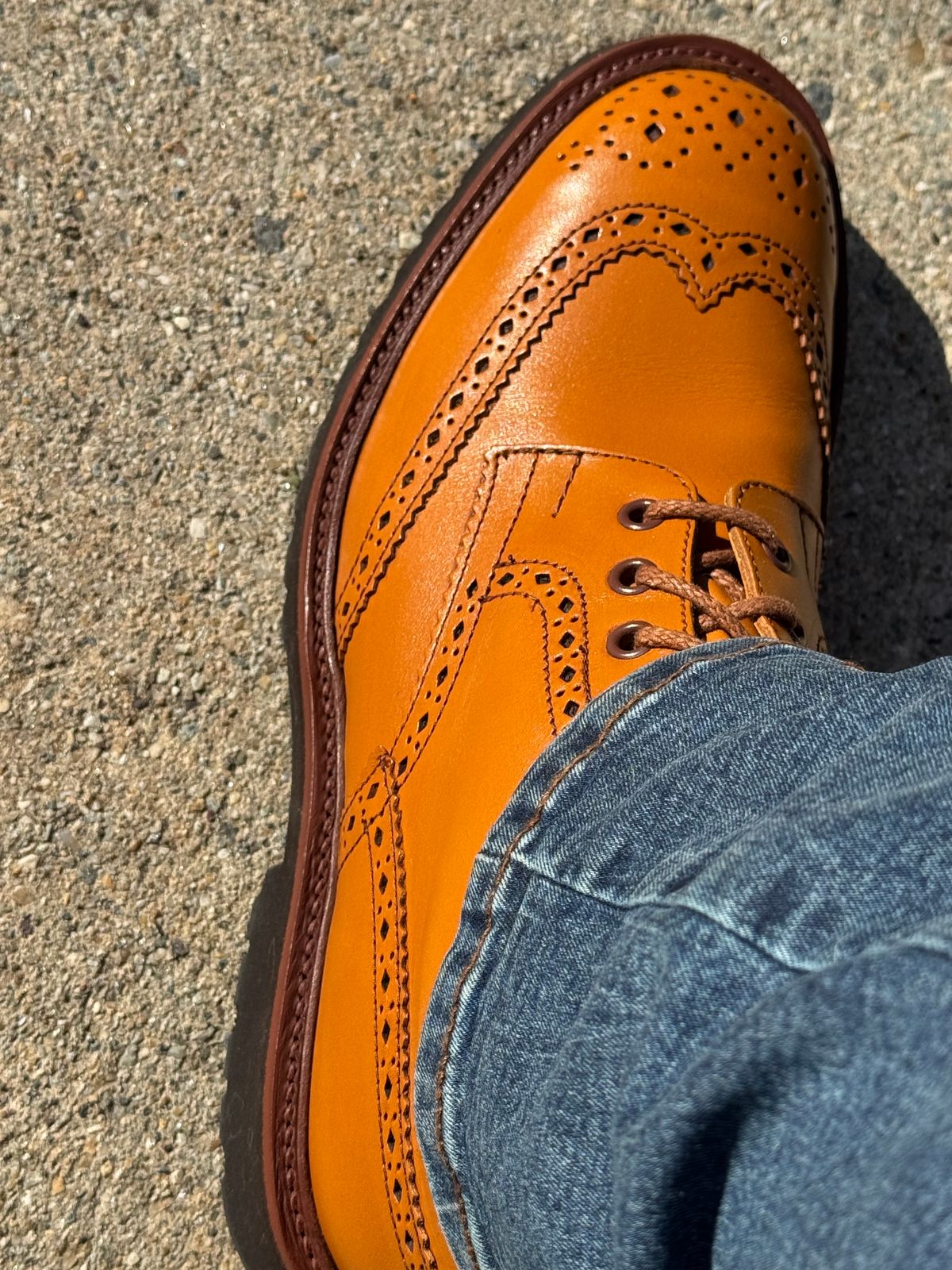 Photo by lemoncurry on June 4, 2026 of the Tricker's x Wildsmith Stow Country Boot in Acorn Antique.