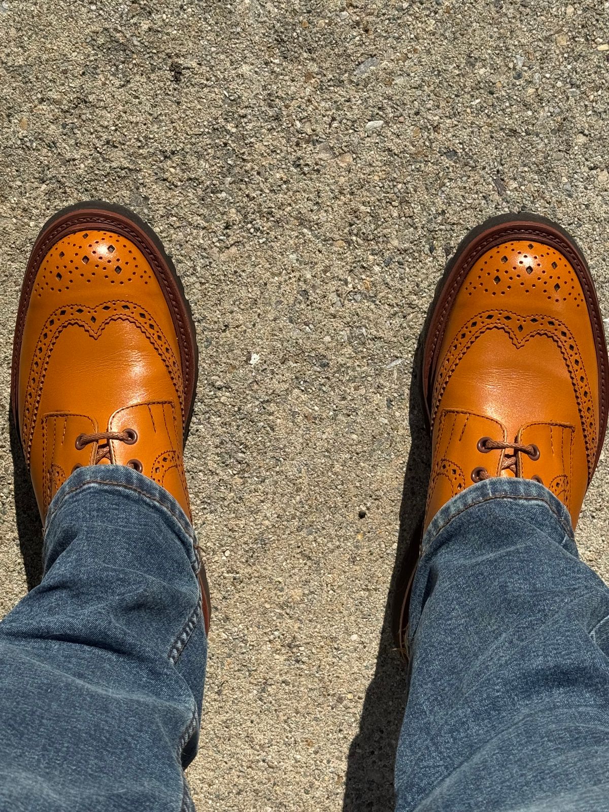 Photo by lemoncurry on June 4, 2026 of the Tricker's x Wildsmith Stow Country Boot in Acorn Antique.