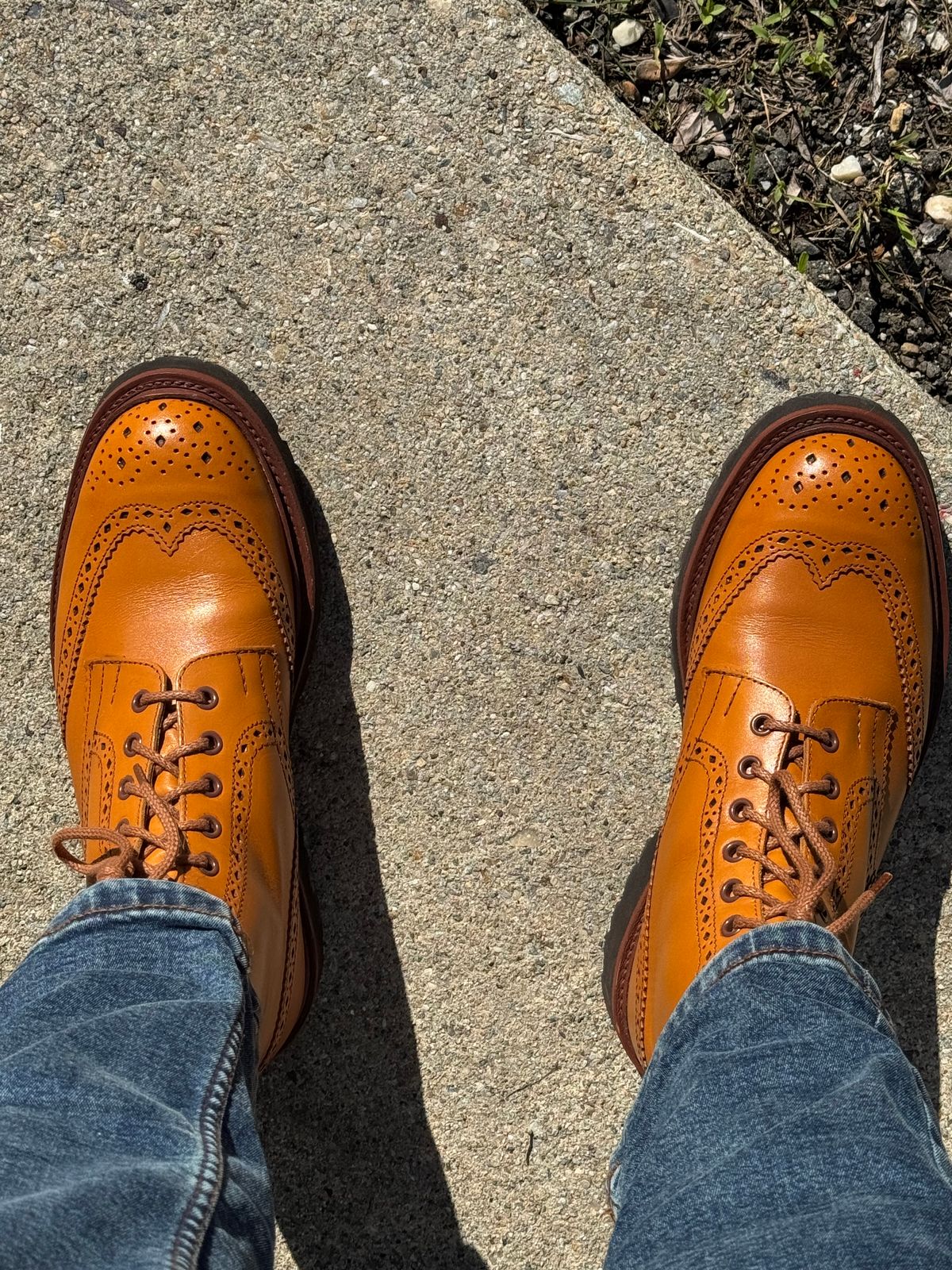 Photo by lemoncurry on June 24, 2026 of the Tricker's x Wildsmith Stow Country Boot in Acorn Antique.