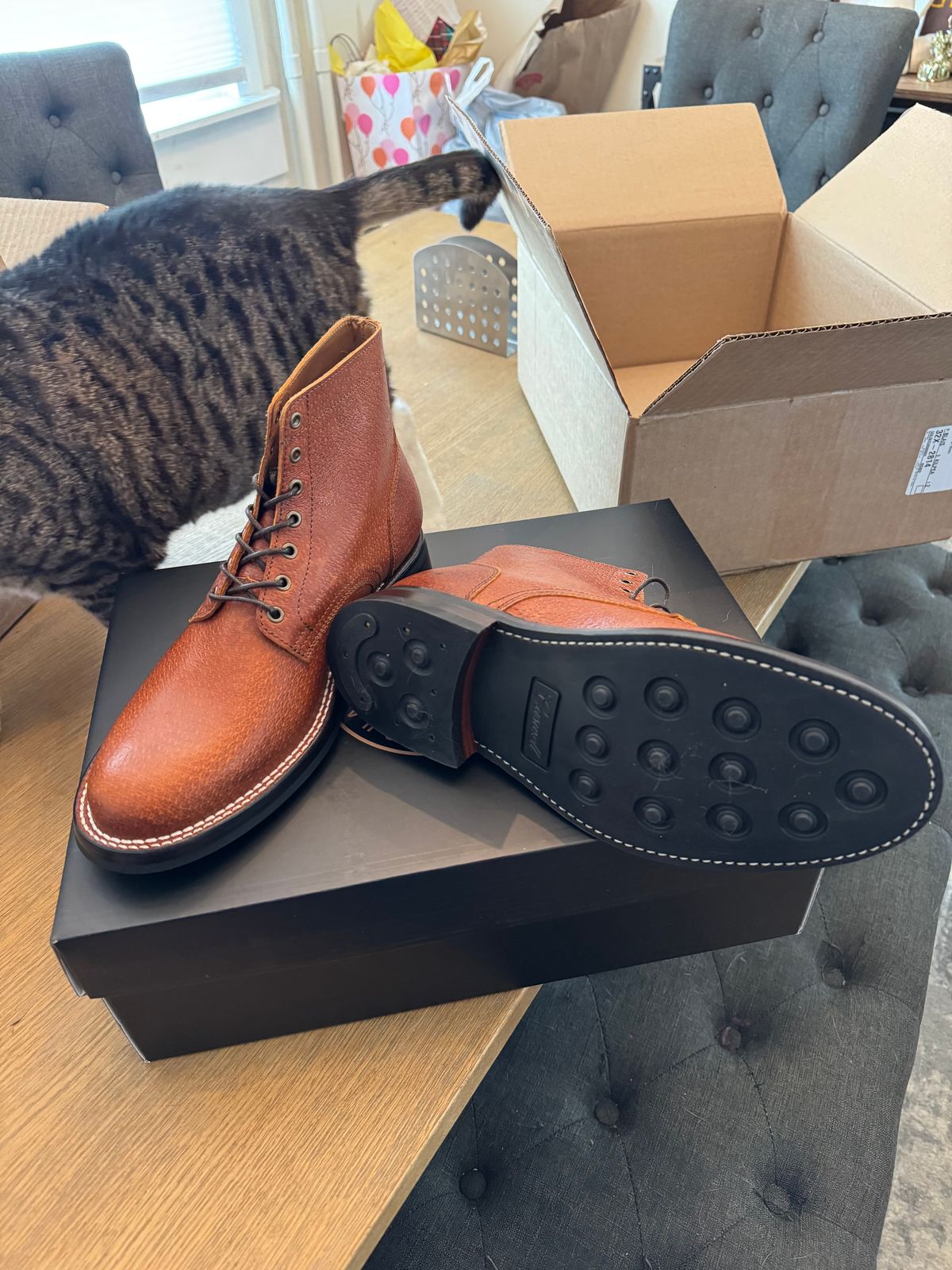 Photo by lemoncurry on April 22, 2026 of the Caswell X Stridewise Lisbon in Jabari Wild Boar Cognac.