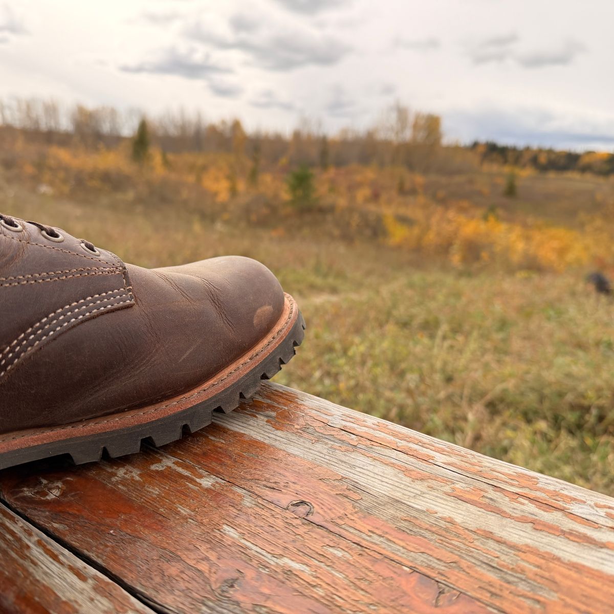 Photo by SirDabsAlot on October 4, 2025 of the Canada West Boots WM. Moorby 2857 in Grand Canyon Breakwall.
