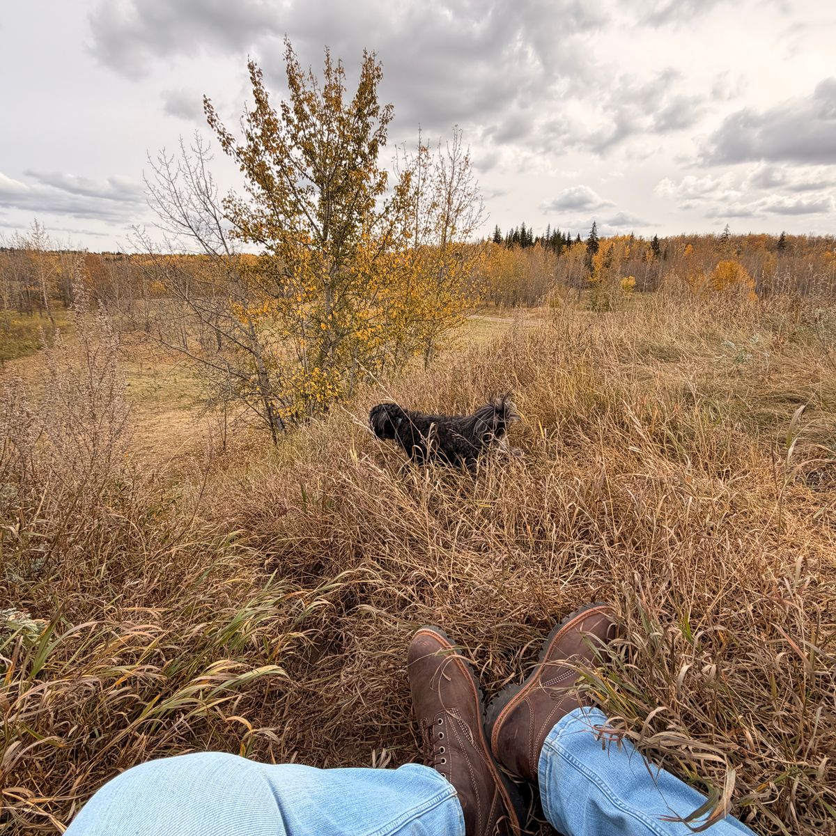 Photo by SirDabsAlot on October 4, 2025 of the Canada West Boots WM. Moorby 2857 in Grand Canyon Breakwall.