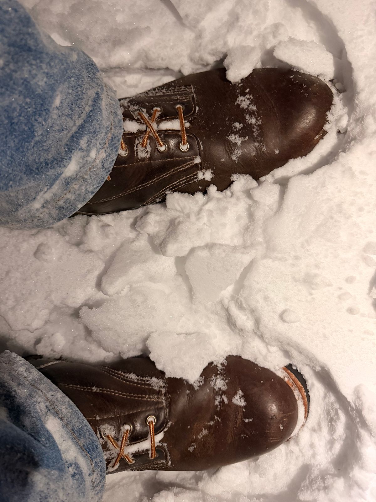 Photo by SirDabsAlot on December 12, 2025 of the Canada West Boots WM. Moorby 2857 in Grand Canyon Breakwall.