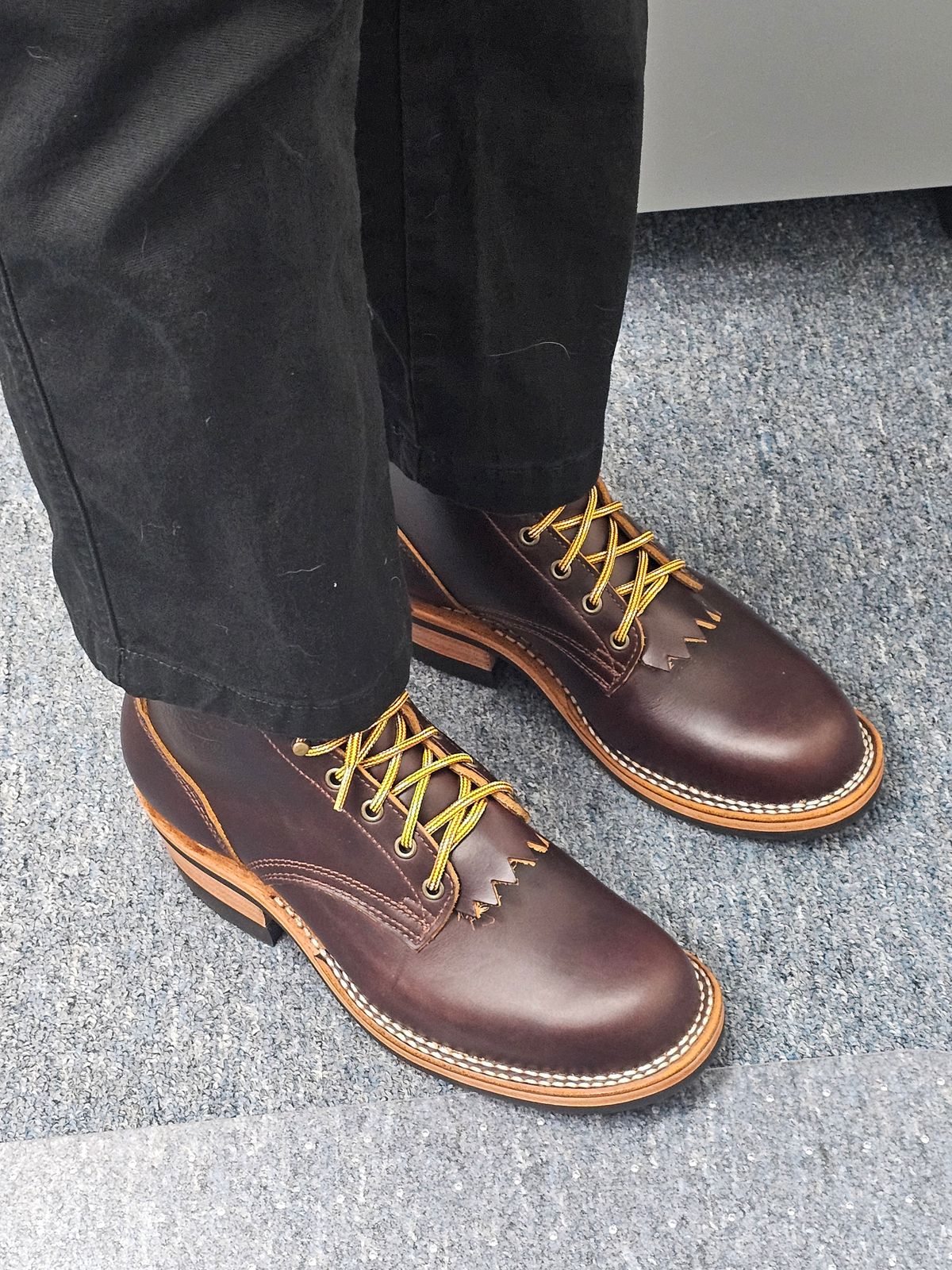 Photo by DRYoung on October 4, 2024 of the Frank's Boots Wilshire in Seidel Brown Domain.