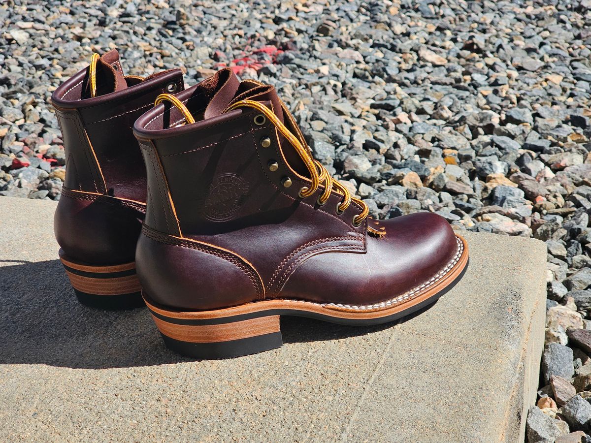 Photo by DRYoung on October 8, 2024 of the Frank's Boots Wilshire in Seidel Brown Domain.