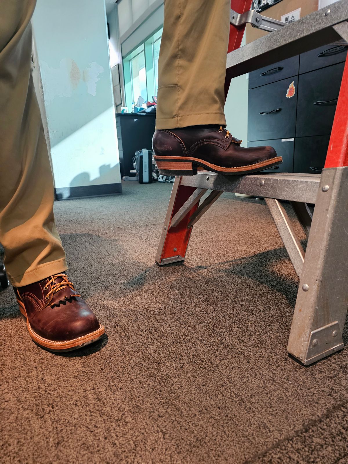Photo by DRYoung on November 6, 2024 of the Frank's Boots Wilshire in Seidel Brown Domain.