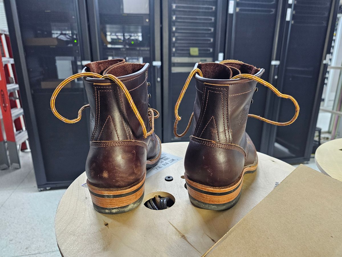 Photo by DRYoung on November 6, 2024 of the Frank's Boots Wilshire in Seidel Brown Domain.
