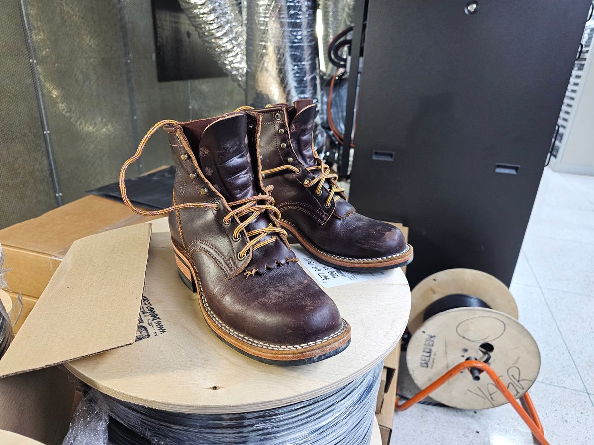 Photo by DRYoung on November 6, 2024 of the Frank's Boots Wilshire in Seidel Brown Domain.