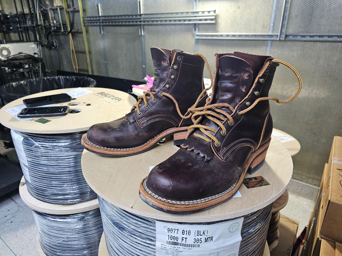 Photo by DRYoung on November 6, 2024 of the Frank's Boots Wilshire in Seidel Brown Domain.